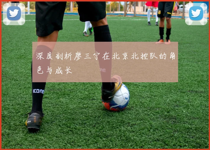 深度剖析廖三宁在北京北控队的角色与成长