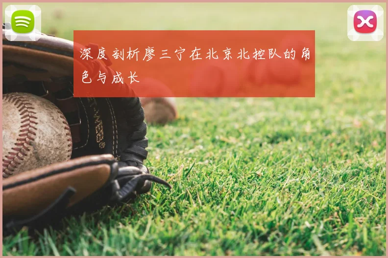 深度剖析廖三宁在北京北控队的角色与成长